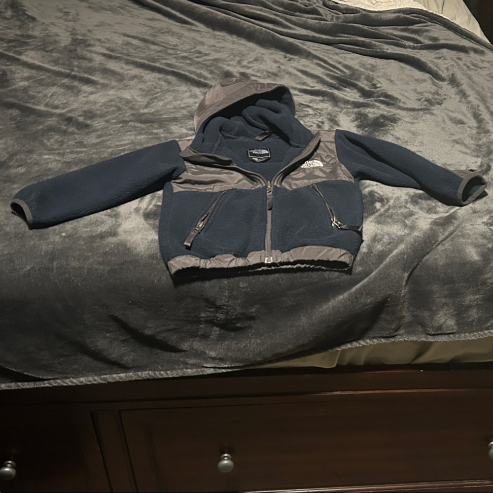 Blue and Gray Hooded north face